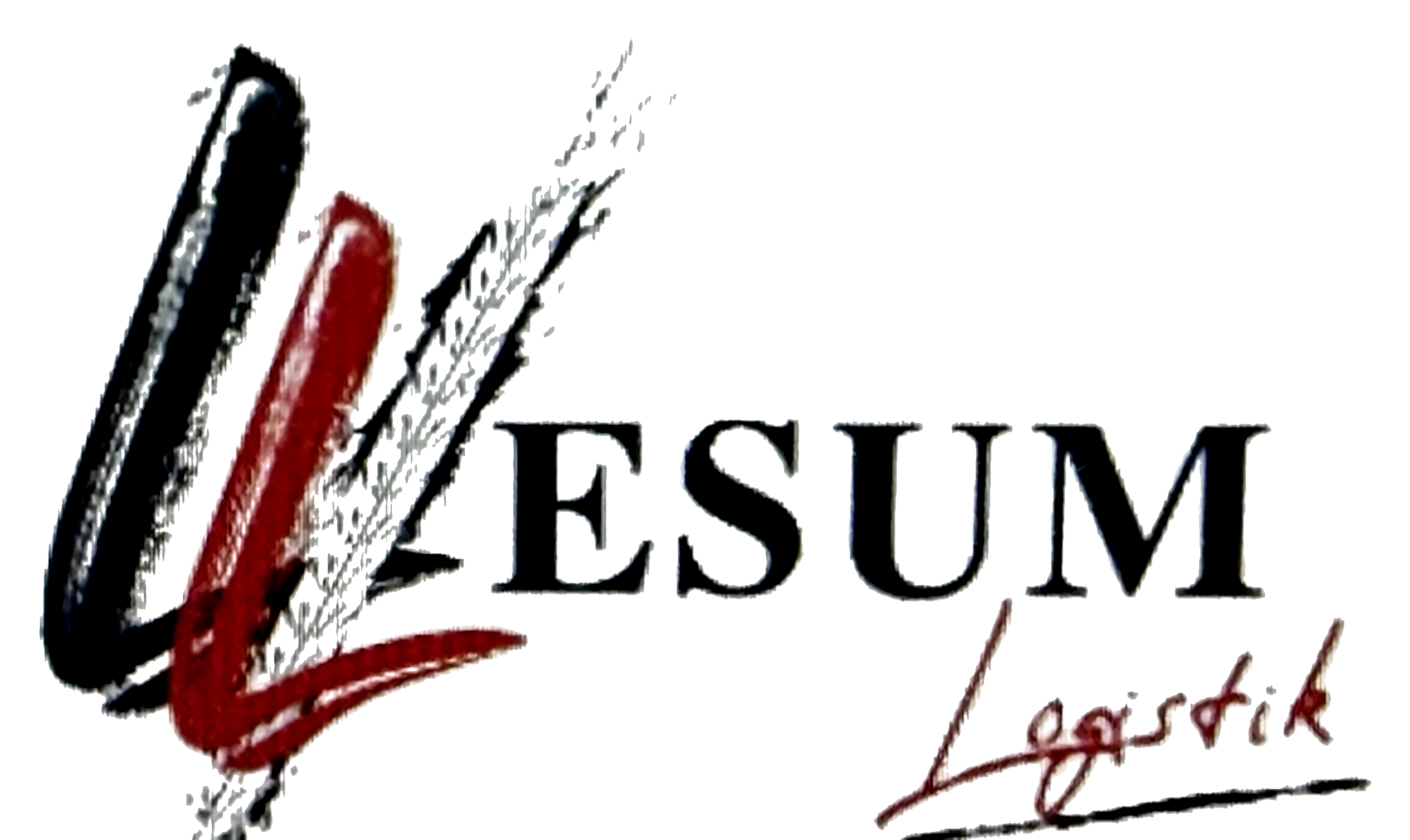 Lesum Logistik Logo